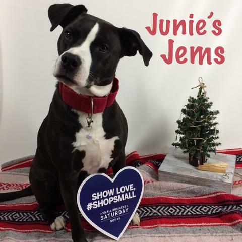 Junie's Jems - Healing Crystal Collar Charms for your Pets!