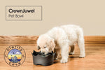 Dog Gem Water Bowl Healing Crystal Water Dish for Pets The Crown Juwel Vitajuwel - claritycove.com
