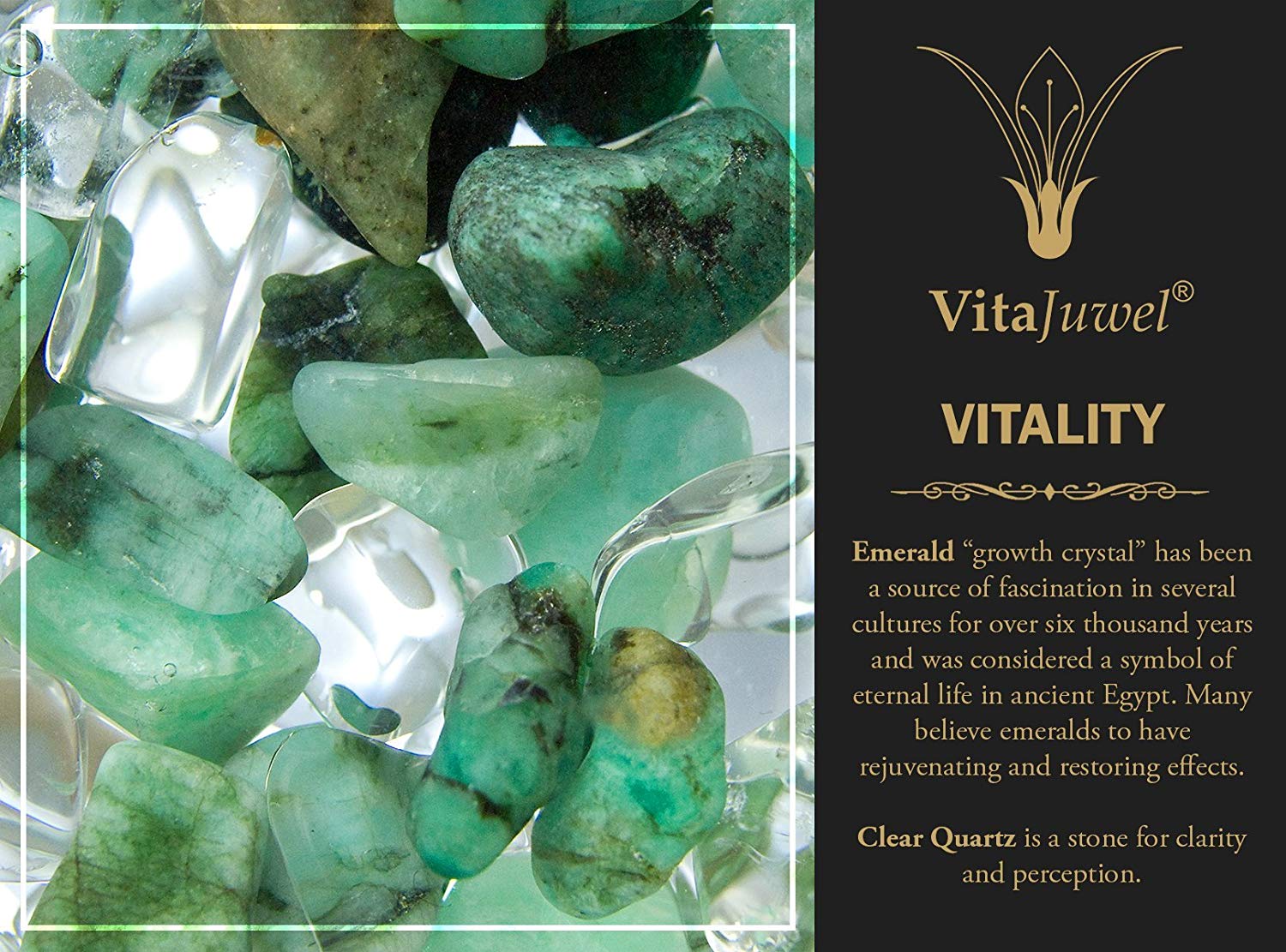 Vitajuwel ViA Gemwater Bottle VITALITY Blend with LOOP Handle Emerald Quartz Renewal - claritycove.com